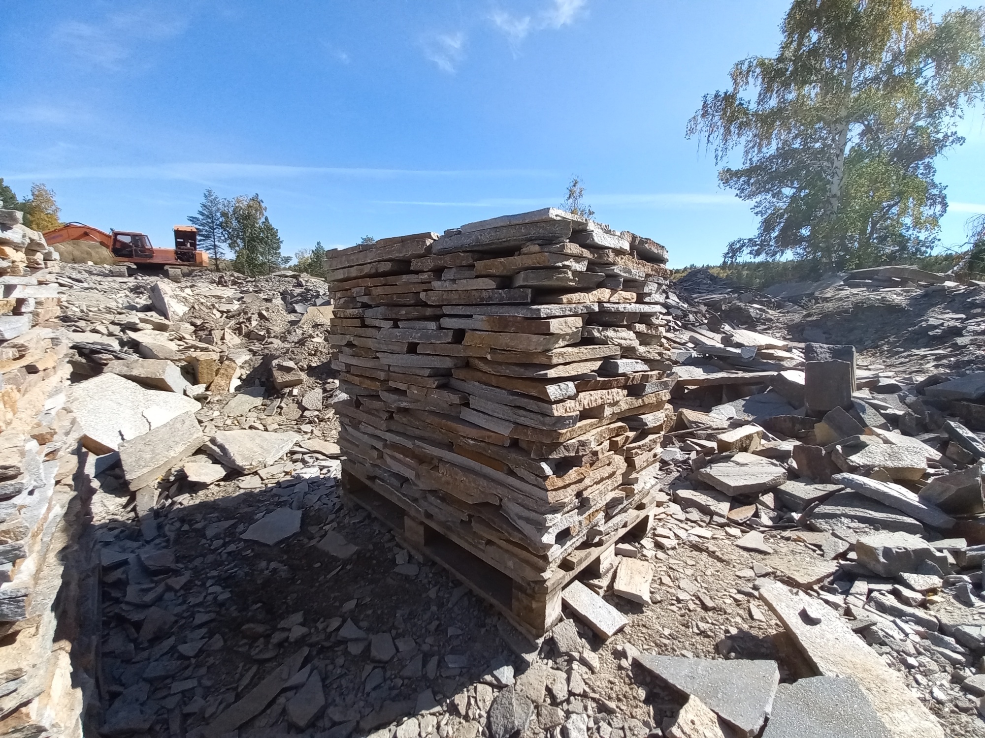 Плитняк златолит серебристый для мощения на бетон купить в Лобне