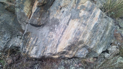 Гигантские зелёные валуны для ландшафтного дизайна весом более 5 тонн купить в Лобне